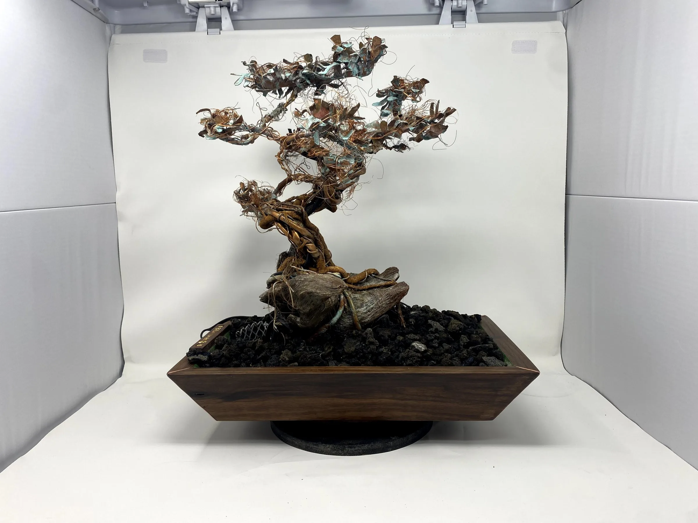 Copper bonsai tree