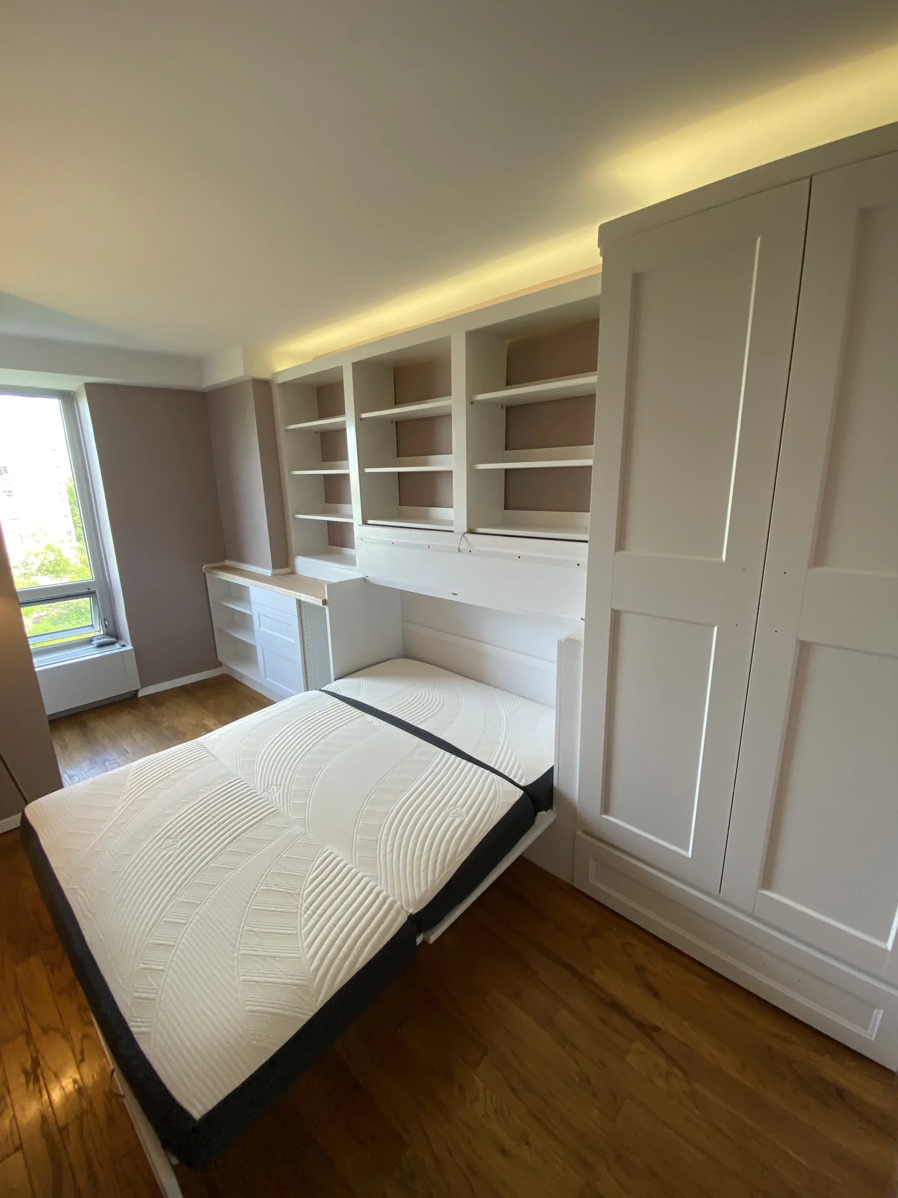 Murphy bed and office