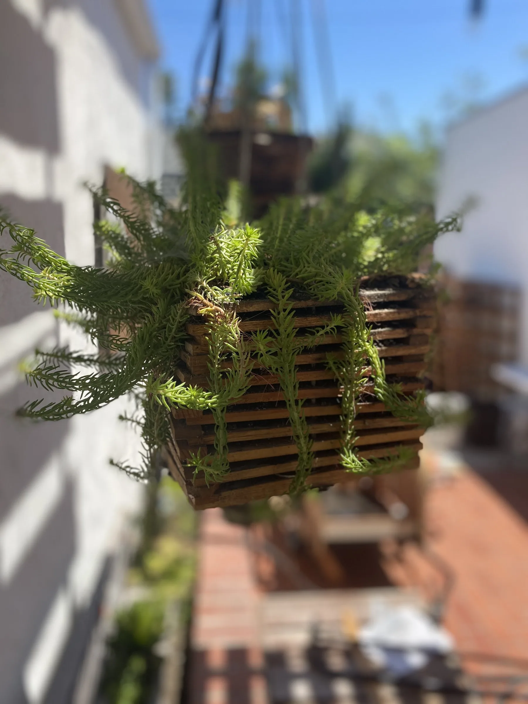 Slatted planters