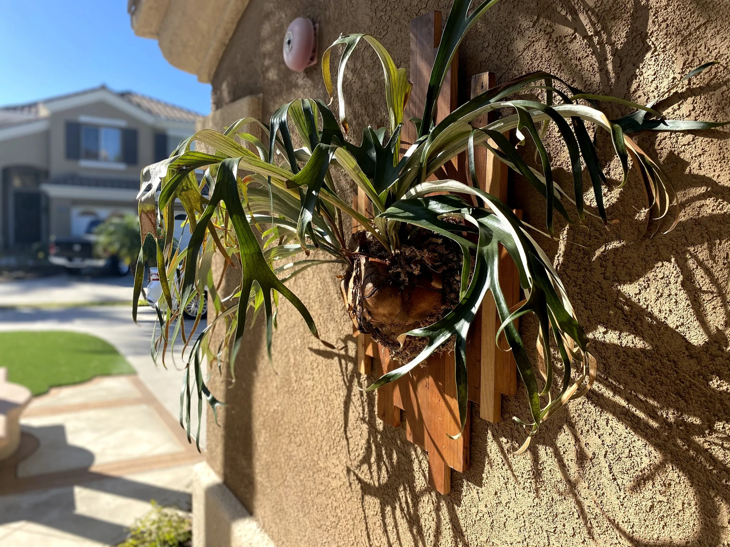 Slatted planters