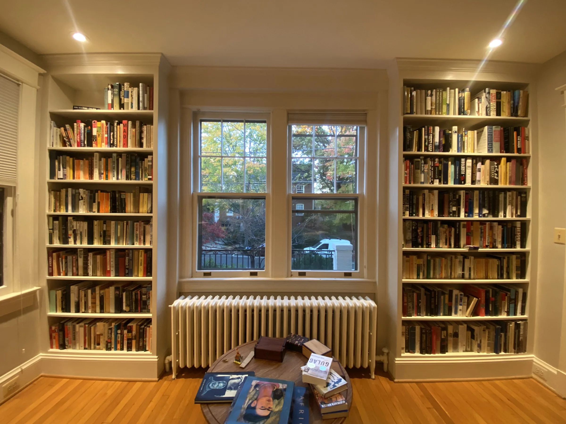 Living room bookshelves